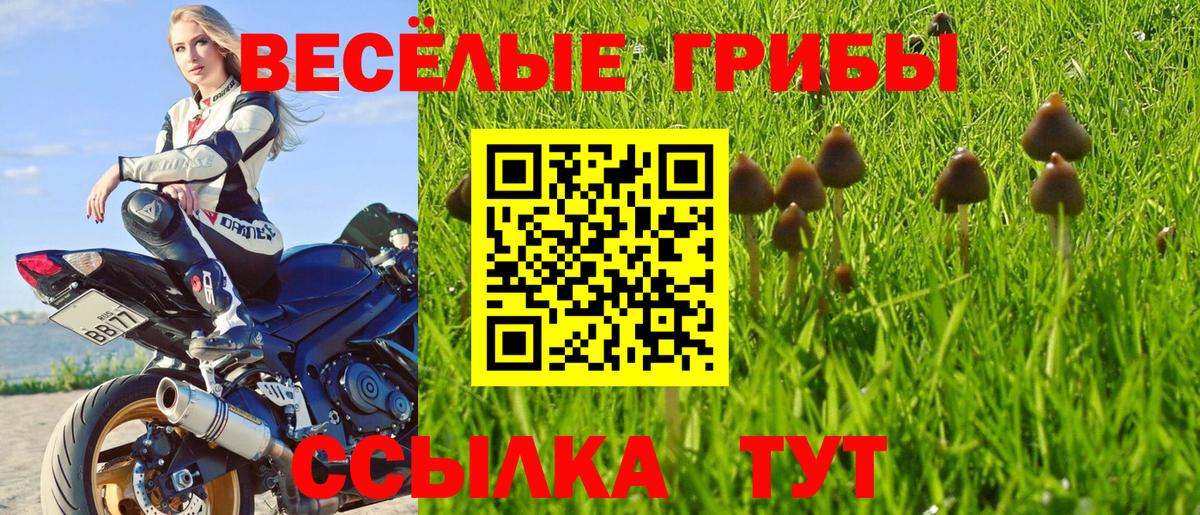 Мелеуз  хочу наркоту  Вход с VPN  Галлюциногенные грибы Magic Shrooms 